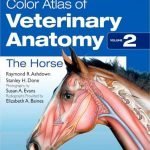 Color Atlas Of Veterinary Anatomy, Volume 2, The Horse, 2nd Edition