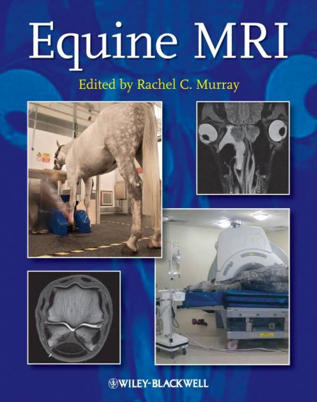 Equine MRI 1st Edition