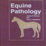 Equine Pathology