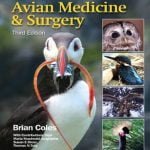 Essentials Of Avian Medicine And Surgery