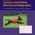 Guide To Canine And Feline Electrocardiography