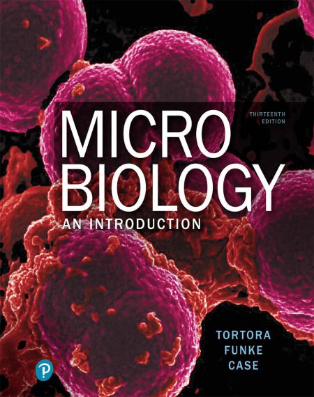 Microbiology An Introduction
