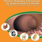 Poultry Diseases Influenced By Gastrointestinal Health Traditional Treatments And Innovative Solutions