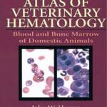 Atlas Of Veterinary Hematology Blood And Bone Marrow Of Domestic Animals
