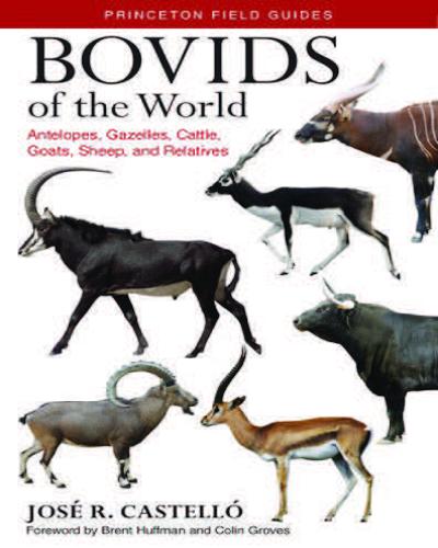 Bovids of the world antelopes gazelles cattle goats sheep and relatives page 001