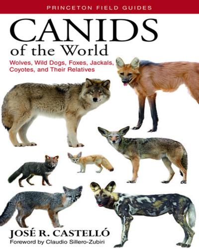 Canids of the world wolves, wild dogs, foxes, jackals, coyotes, and their relatives