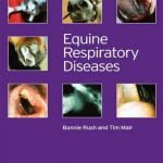 Equine Respiratory Diseases