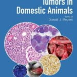 Tumors In Domestic Animals 5th Edition