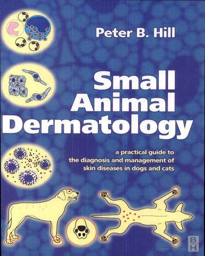Small animal dermatology a practical guide to diagnostic tests