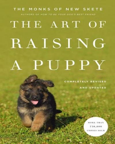 The art of raising a puppy