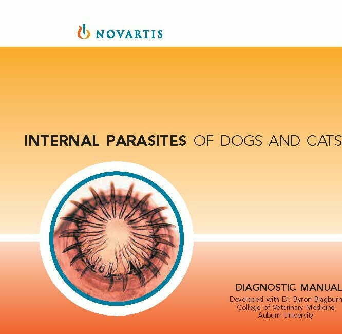 Internal parasites dogs cats
