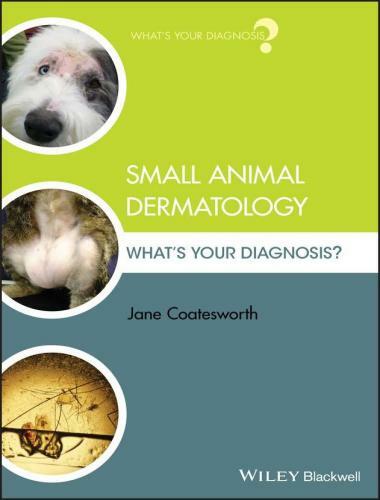 Small animal dermatology what's your diagnosis