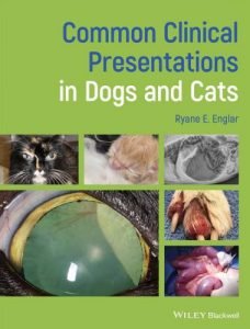 Common clinical presentations in dogs and cats