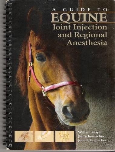 A guide to equine joint injection and regional anesthesia