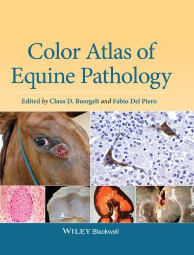 Color atlas of equine pathology