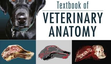 Dyce, sack, and wensing’s textbook of veterinary anatomy