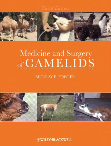 Medicine and surgery of camelids 3rd edition