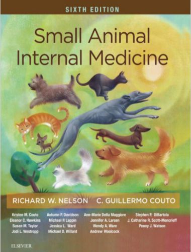 Small animal internal medicine 6th edition
