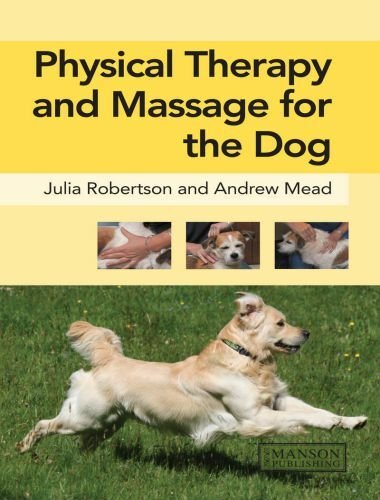 Physical therapy and massage for the dog