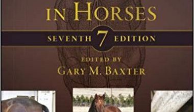 Adams and stashak's lameness in horses 7th edition