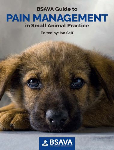 Guide to pain management in small animal practice