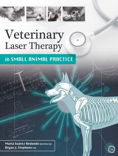 Veterinary laser therapy in small animal practice