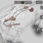 3D Horse Anatomy Android App 06