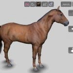 3D Horse Anatomy Android App