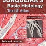 Junqueiras basic histology text and atlas 15th edition