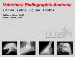 Veterinary Radiographic Anatomy (Windows Application)