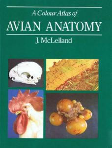 A colour atlas of avian anatomy