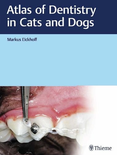 Atlas of dentistry in cats and dogs 1st edition