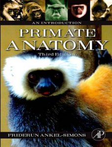 Primate anatomy an introduction 3rd edition