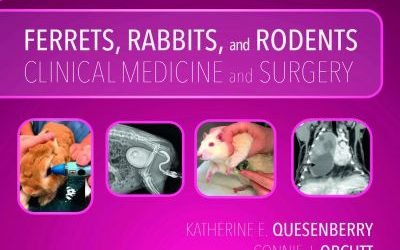 Ferrets, rabbits, and rodents clinical medicine and surgery 4th edition