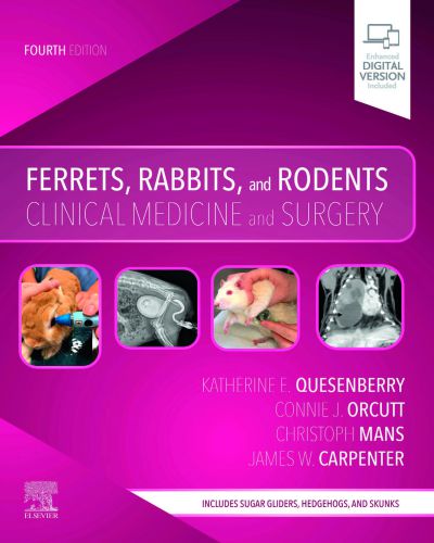 Ferrets, rabbits, and rodents clinical medicine and surgery 4th edition
