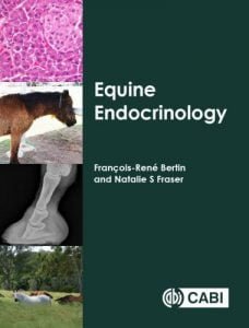 Equine endocrinology