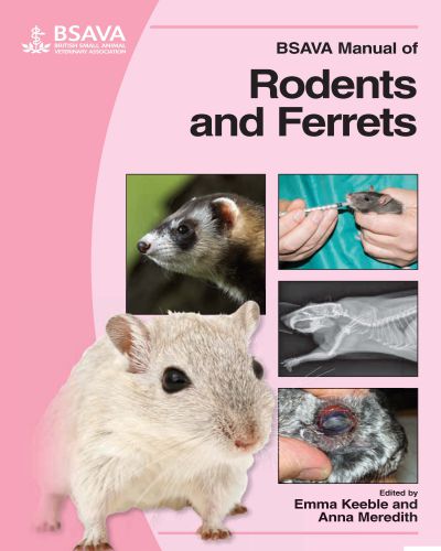 Manual of rodents and ferrets pdf