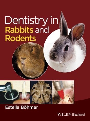 Dentistry in rabbits and rodents 1st edition