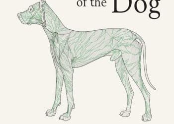 Miller and evans anatomy of the dog 5th edition