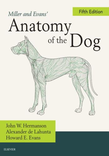 Miller and evans anatomy of the dog 5th edition