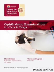 Ophthalmic examination in cats and dogs video