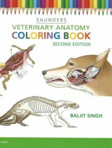 Saunders veterinary anatomy coloring book