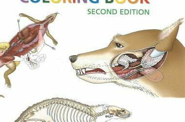 Saunders veterinary anatomy coloring book