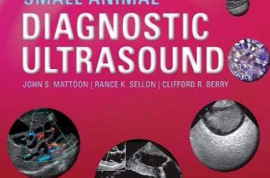 Small animal diagnostic ultrasound, 4th edition