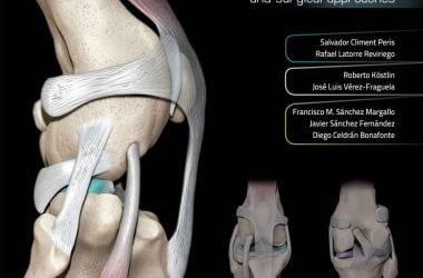 3d joint anatomy in dogs, main joint pathologies and surgical approaches