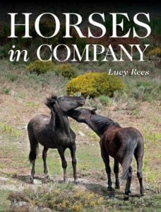 Horses in company 1st edition