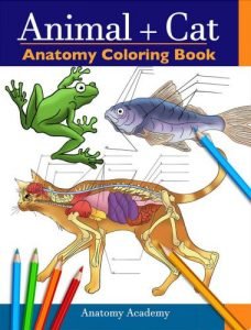 Animal cat anatomy coloring book by anatomy academy
