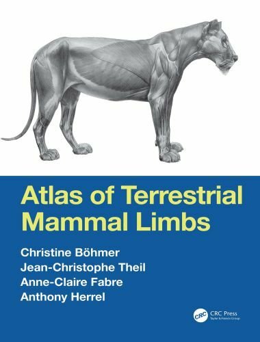 Atlas of terrestrial mammal limbs