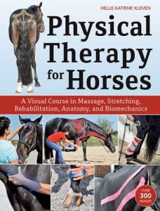 Physical therapy for horses, a visual course in massage, stretching, rehabilitation, anatomy, and biomechanics