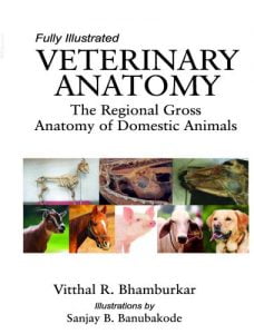 Veterinary anatomy, the regional gross anatomy of domestic animals